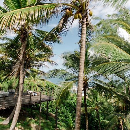 Eco Lifestyle And Lodge Bathsheba エクステリア 写真