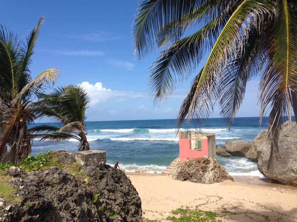 Eco Lifestyle And Lodge Bathsheba エクステリア 写真