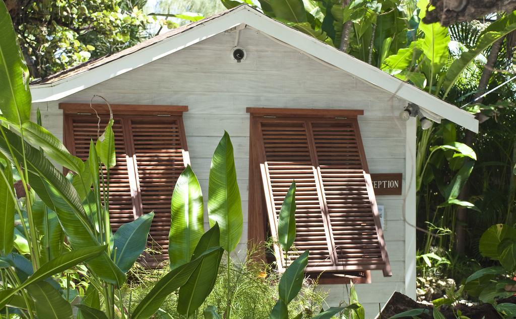Eco Lifestyle And Lodge Bathsheba エクステリア 写真