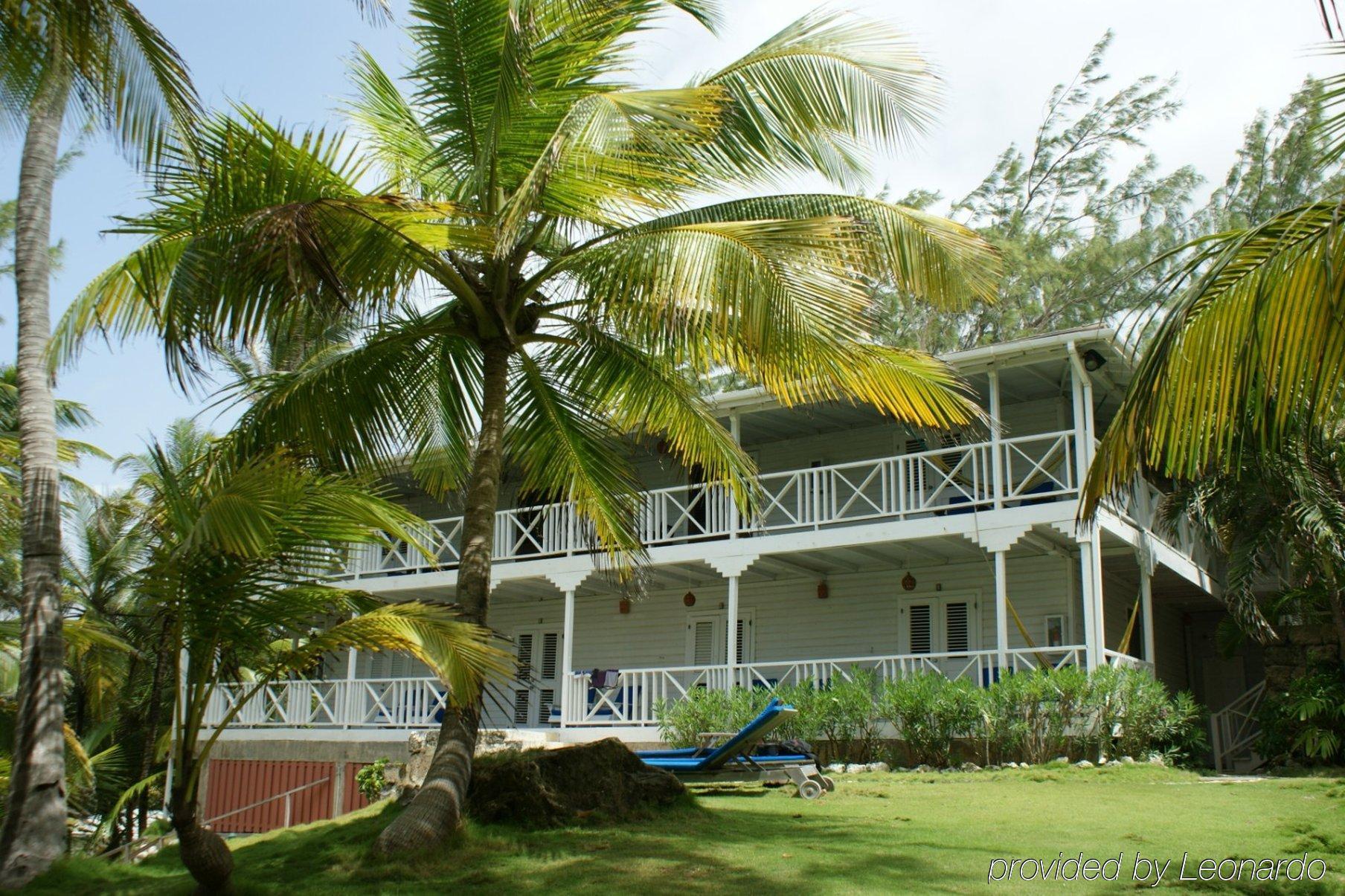 Eco Lifestyle And Lodge Bathsheba エクステリア 写真