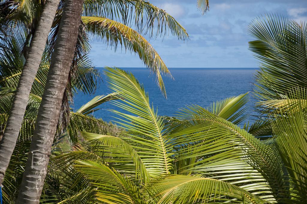 Eco Lifestyle And Lodge Bathsheba エクステリア 写真