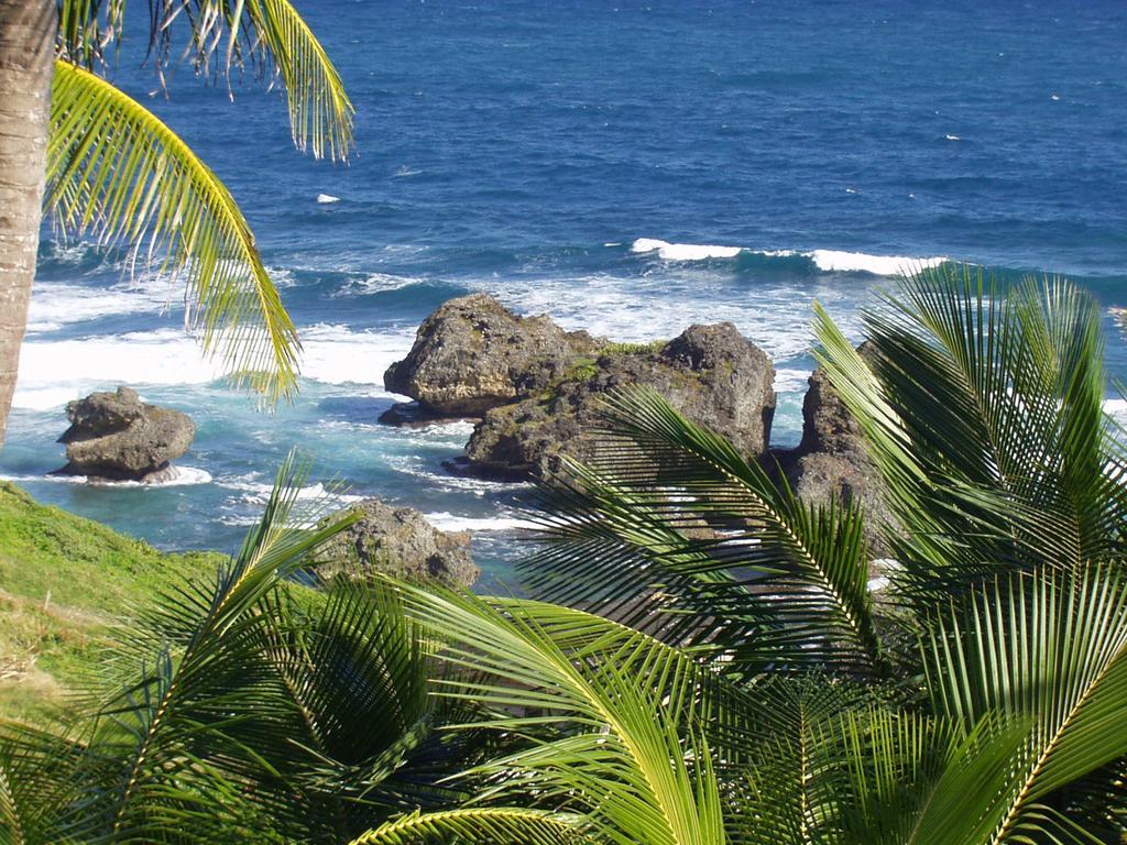 Eco Lifestyle And Lodge Bathsheba エクステリア 写真