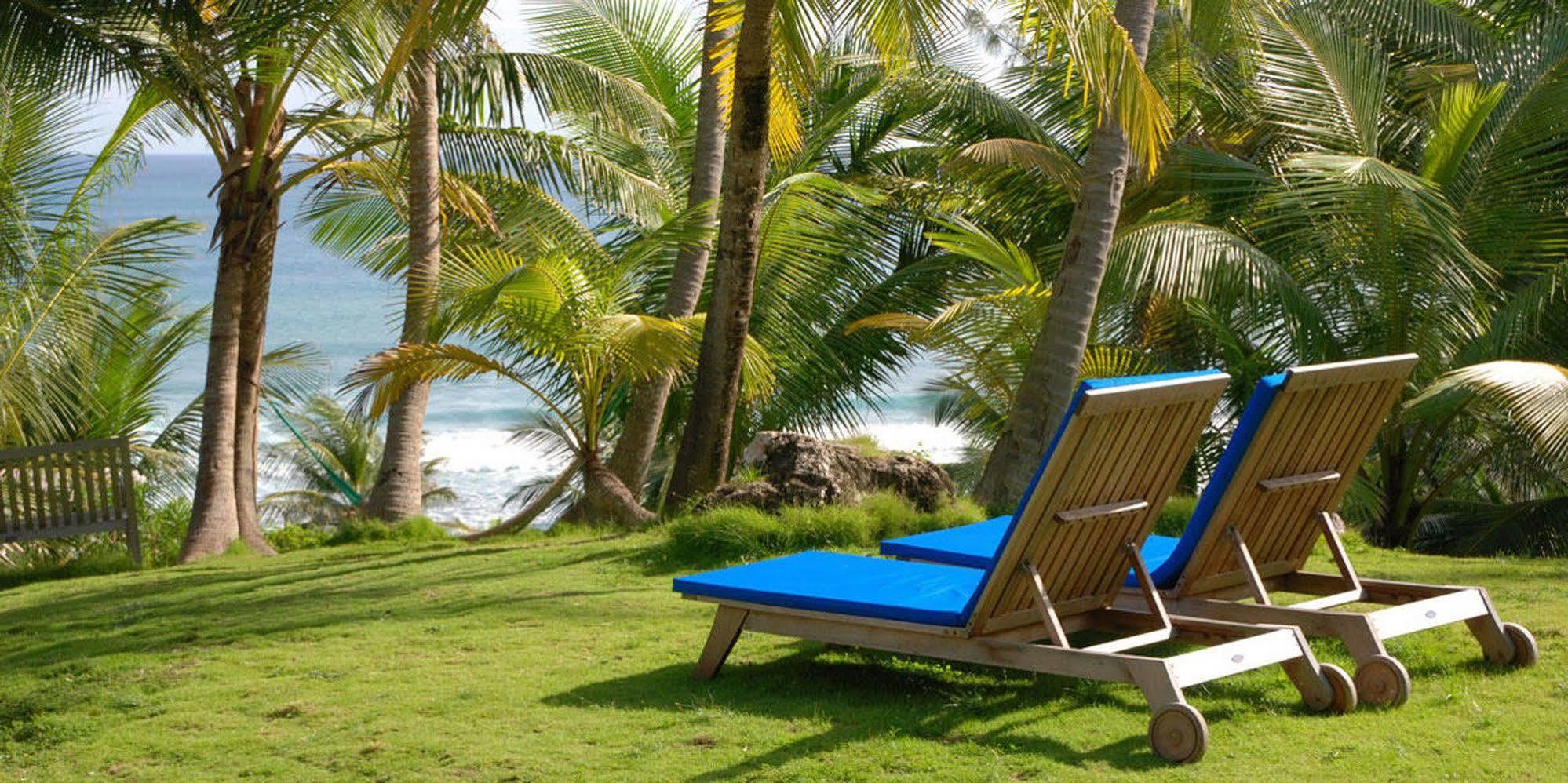 Eco Lifestyle And Lodge Bathsheba エクステリア 写真