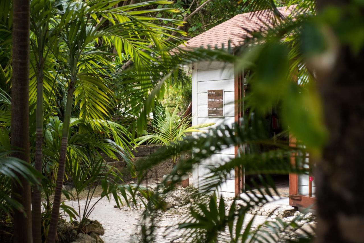 Eco Lifestyle And Lodge Bathsheba エクステリア 写真