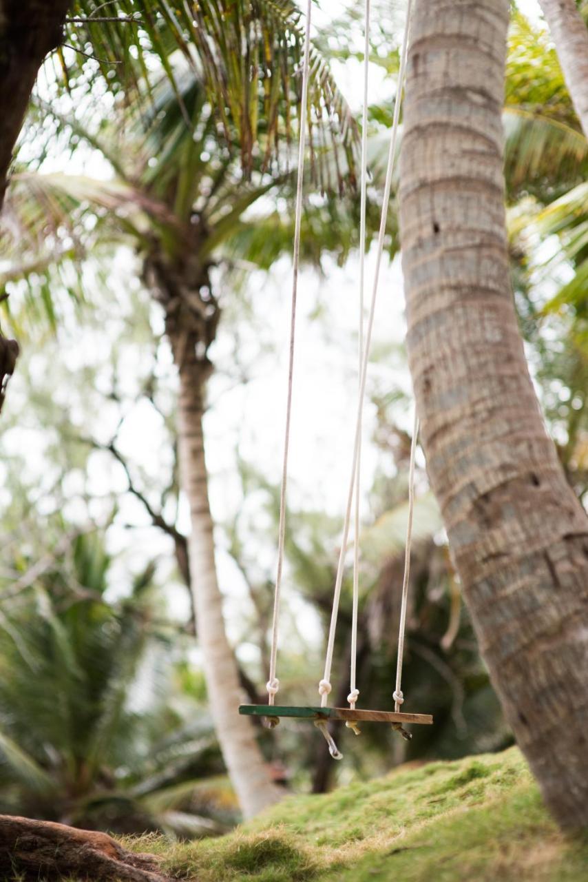 Eco Lifestyle And Lodge Bathsheba エクステリア 写真