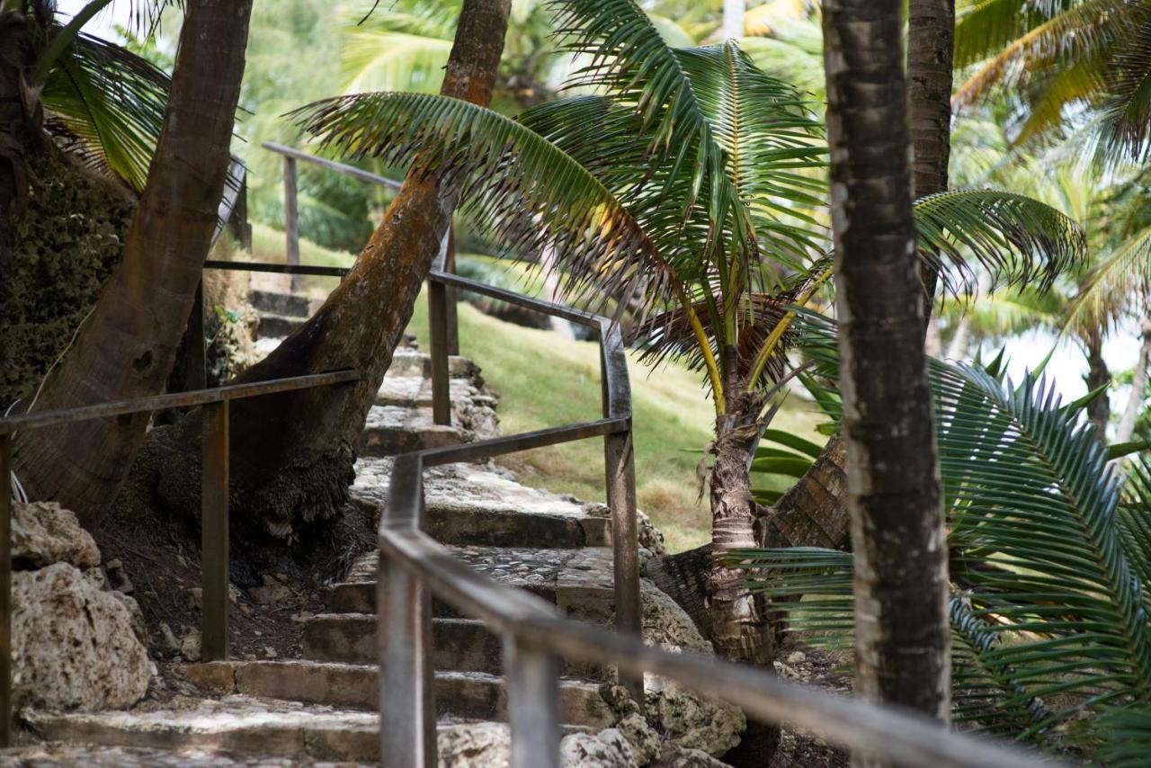 Eco Lifestyle And Lodge Bathsheba エクステリア 写真