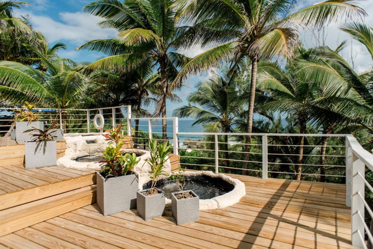 Eco Lifestyle And Lodge Bathsheba エクステリア 写真