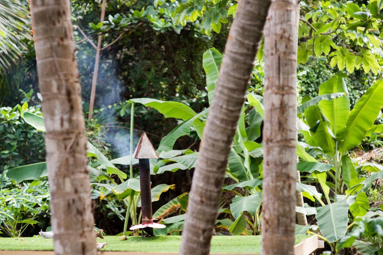 Eco Lifestyle And Lodge Bathsheba エクステリア 写真